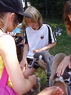 2010-Serengeti-03